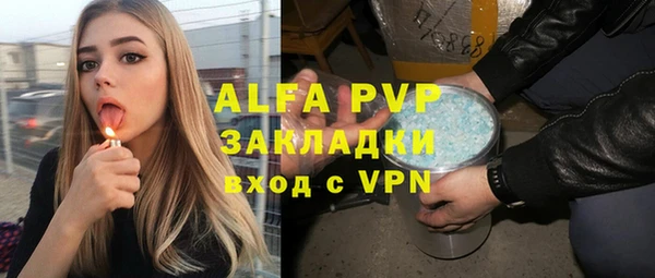 спиды Вяземский