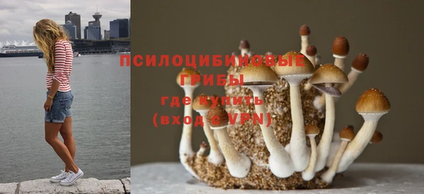 СК Волоколамск
