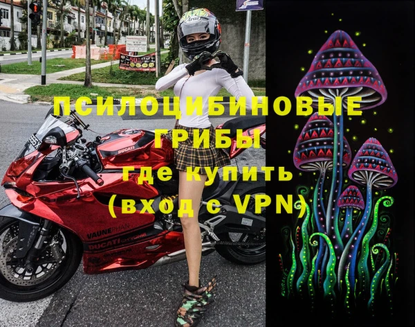 спиды Вяземский