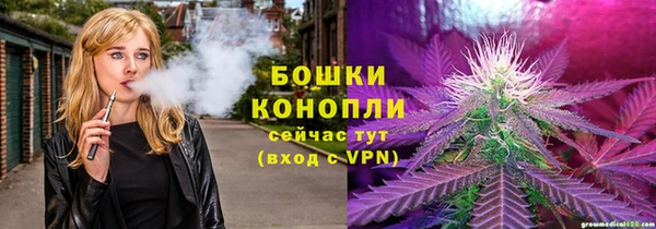 спиды Вяземский
